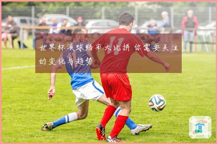 世界杯滚球赔率大比拼 你需要关注的变化与趋势