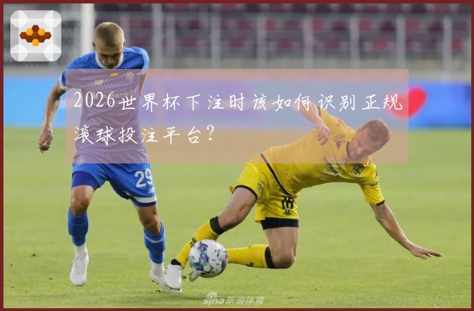 2026世界杯下注时该如何识别正规滚球投注平台？